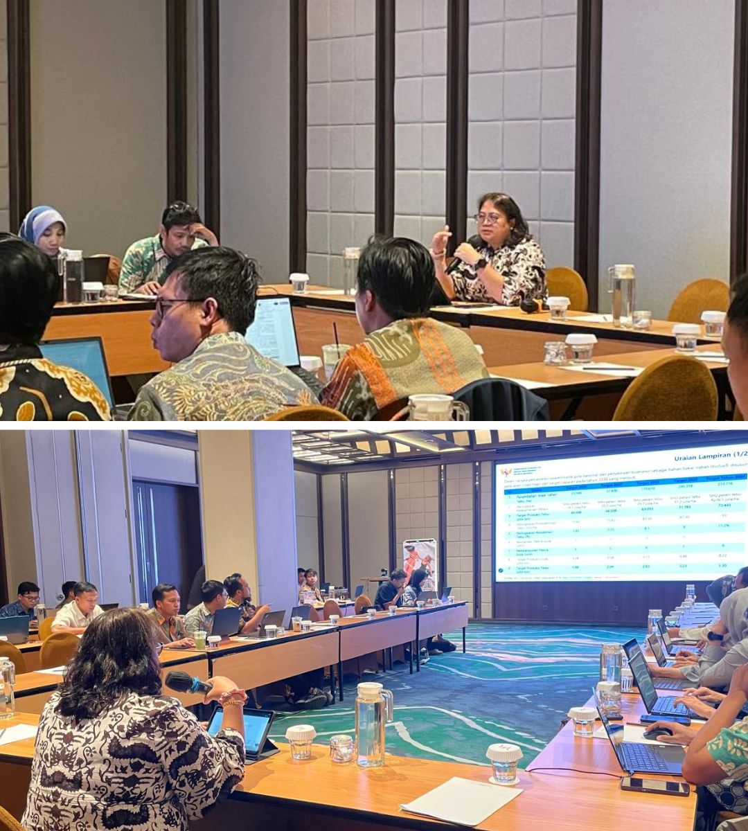 Pemerintah Terus Matangkan Tata Kelola Bioetanol